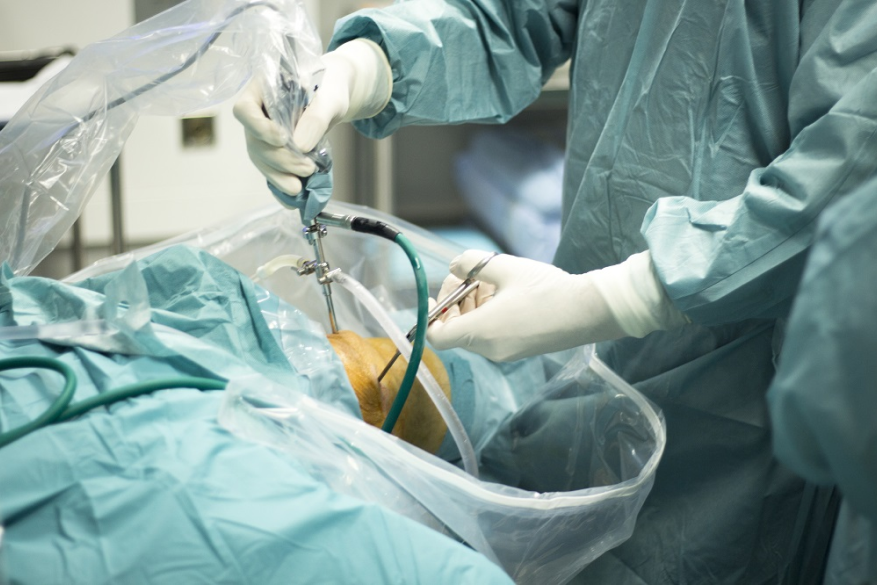 Arthroscopy surgeon